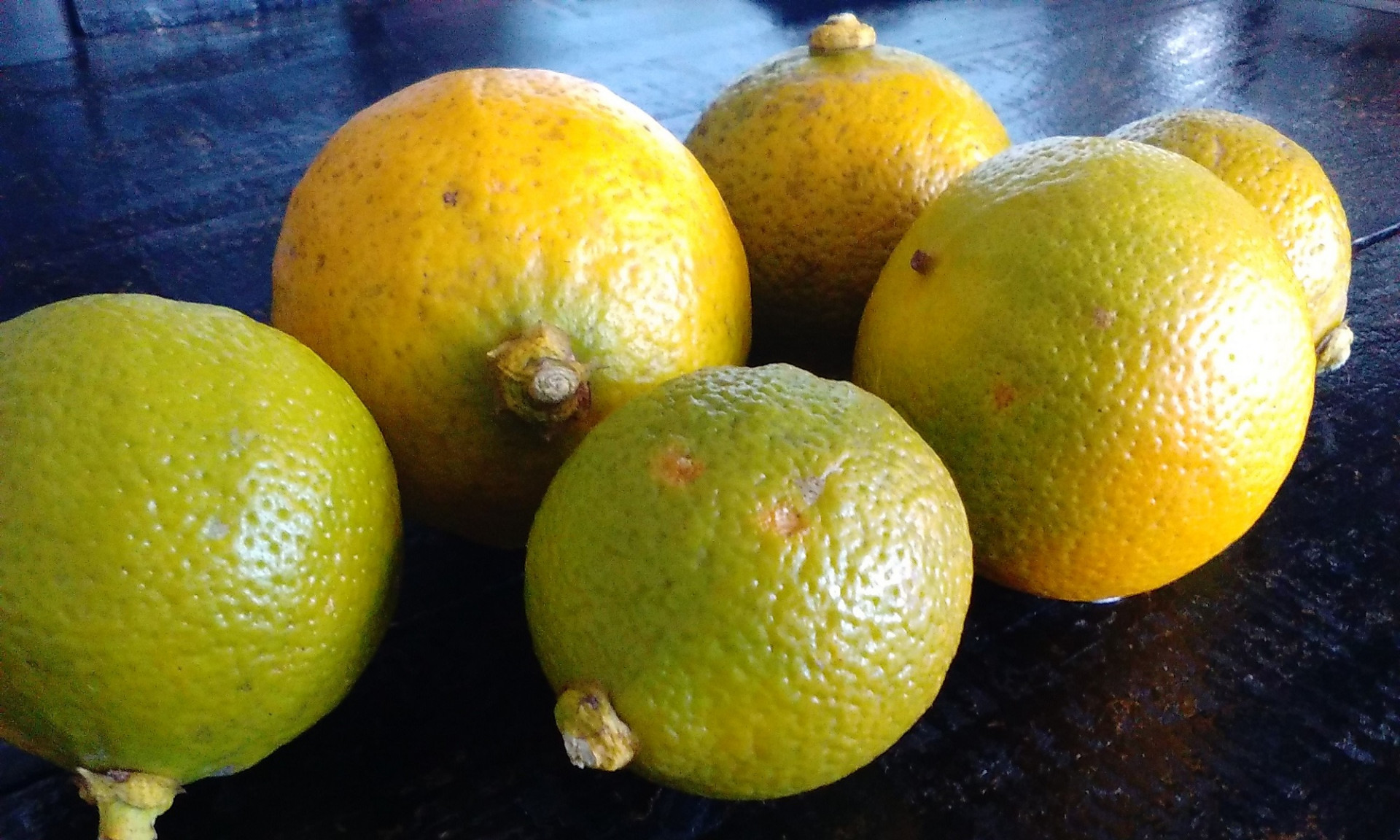 アンディオール