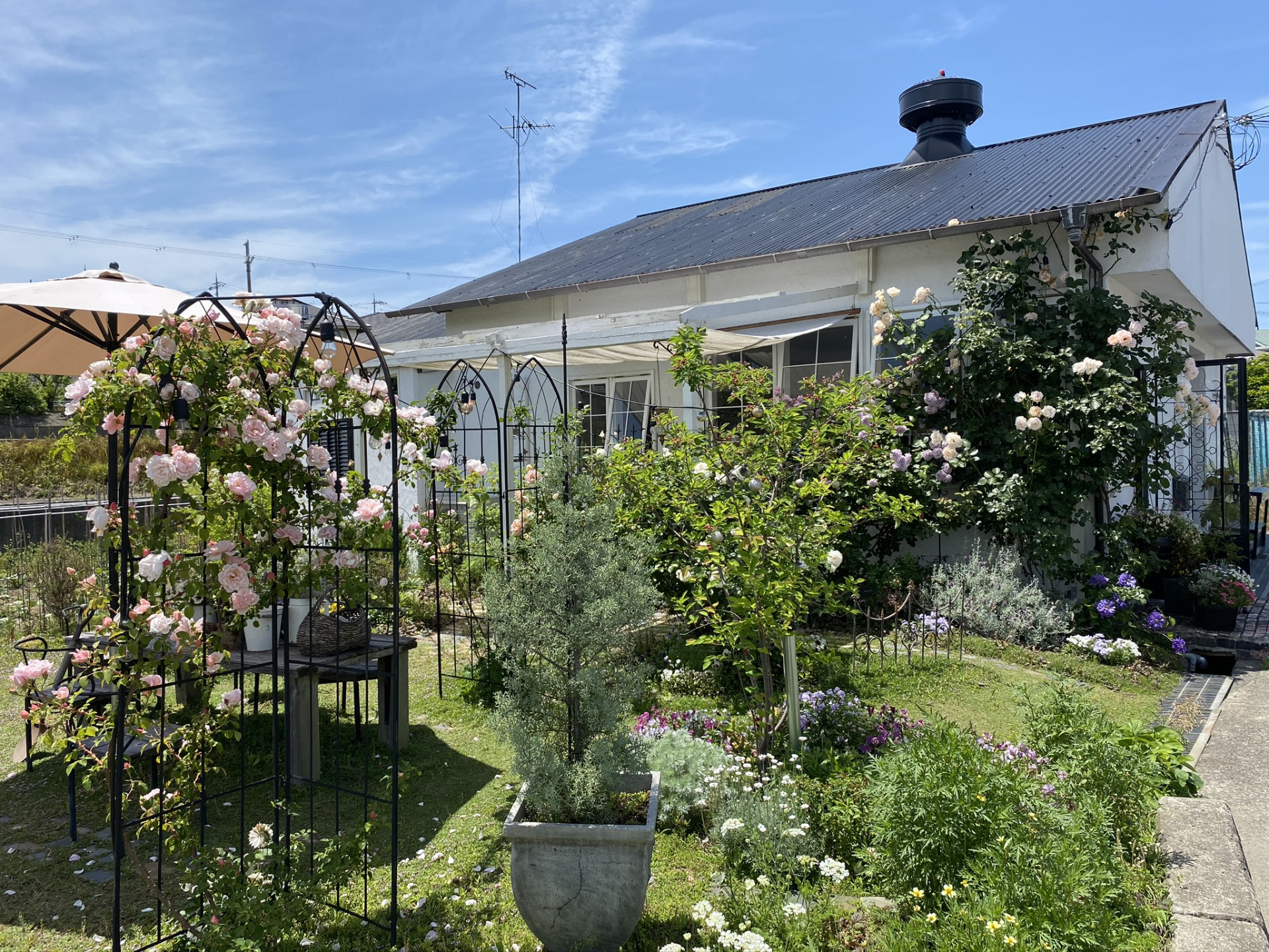 【En dehors】 アンディオール